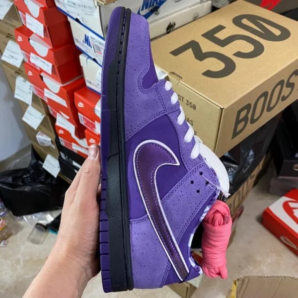 Dunk Purple Lobster Pallets thumbnail 8