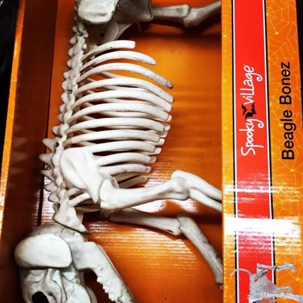 Wholesale Halloween Closeouts Pallets thumbnail 7