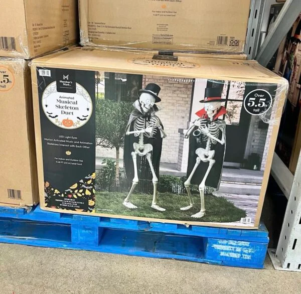 Wholesale Halloween Closeouts Pallets thumbnail 9